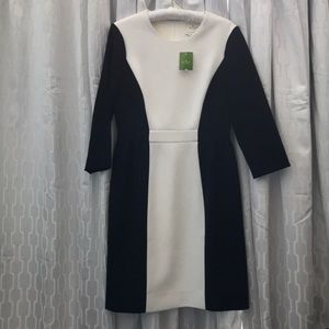 Kate Spade Dress